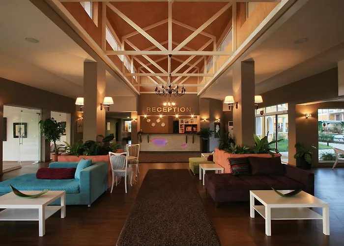 Blue Orange Süzebolu